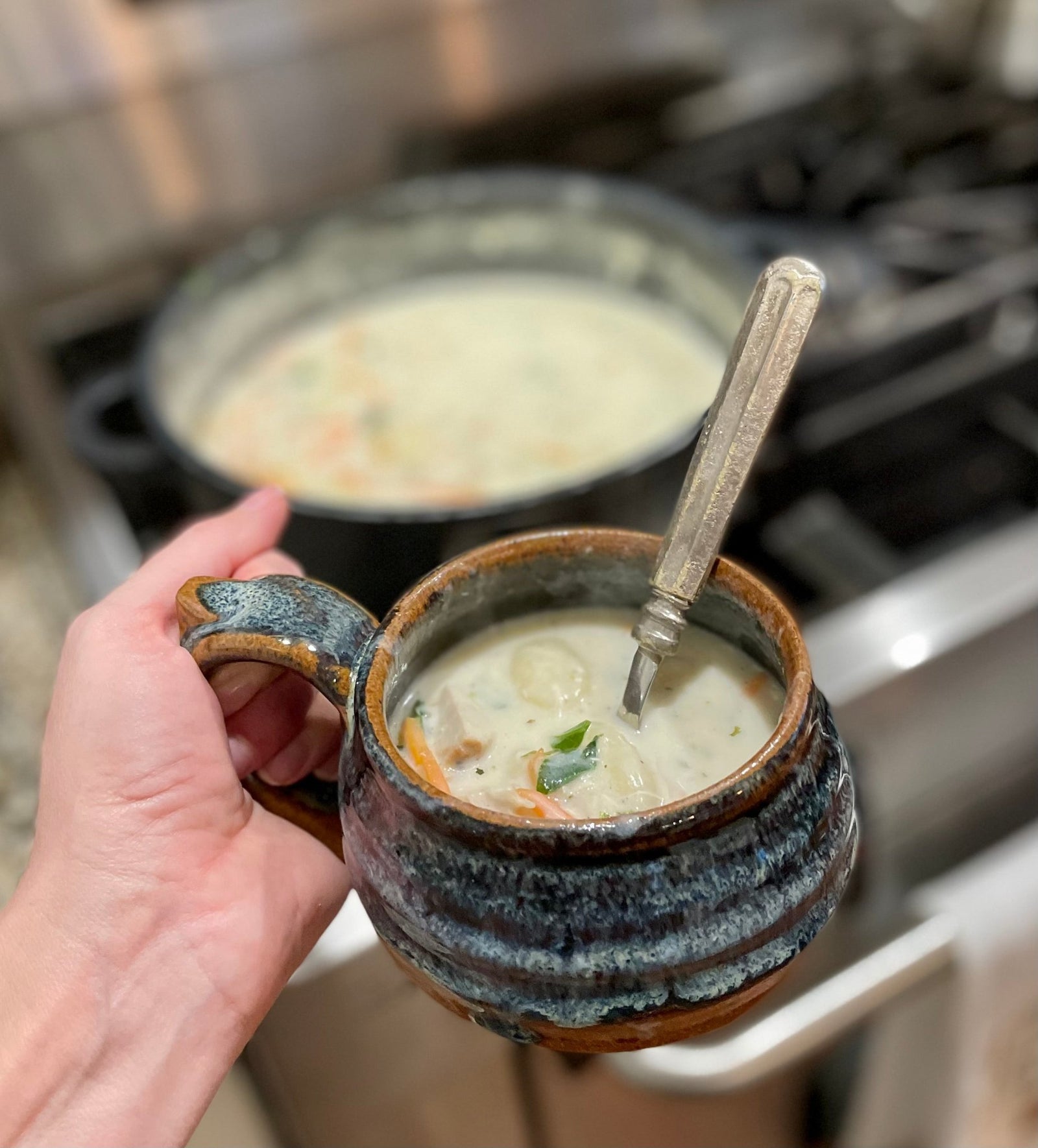 Another Winter Day; Another Soup!