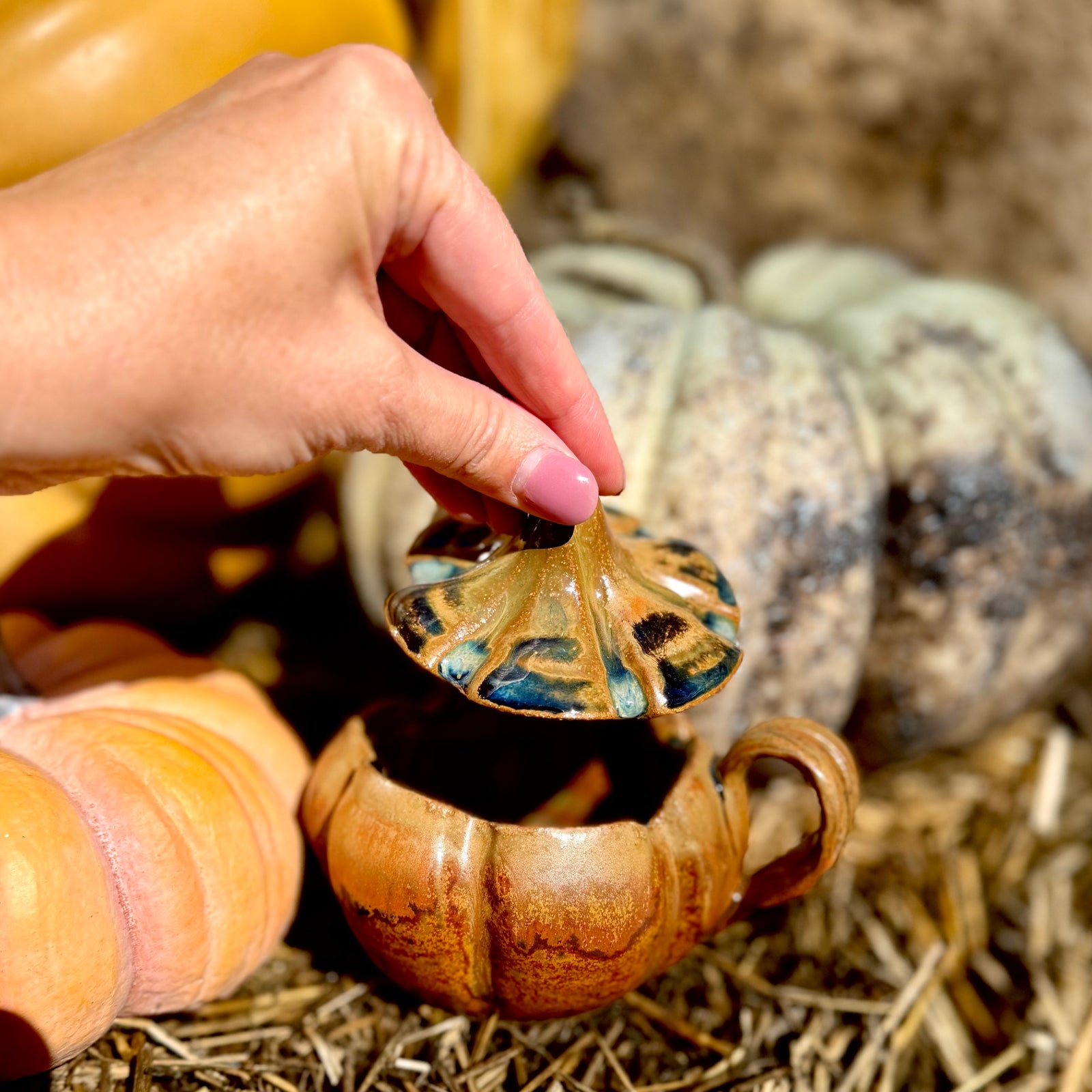 Lidded Pumpkin Mug {Pumpkin}