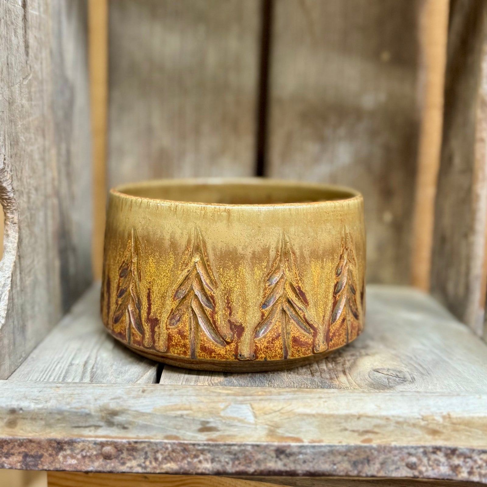 Pet Bowl Large {Pumpkin}