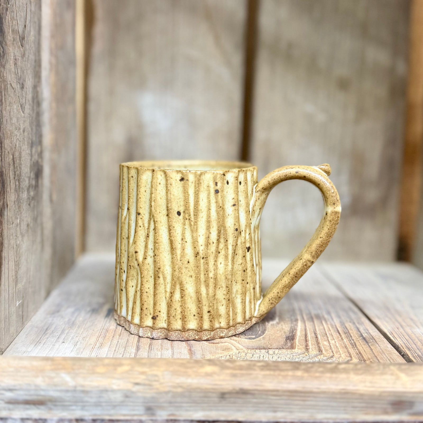 Appalachian Collection Mug {Stony Bark}