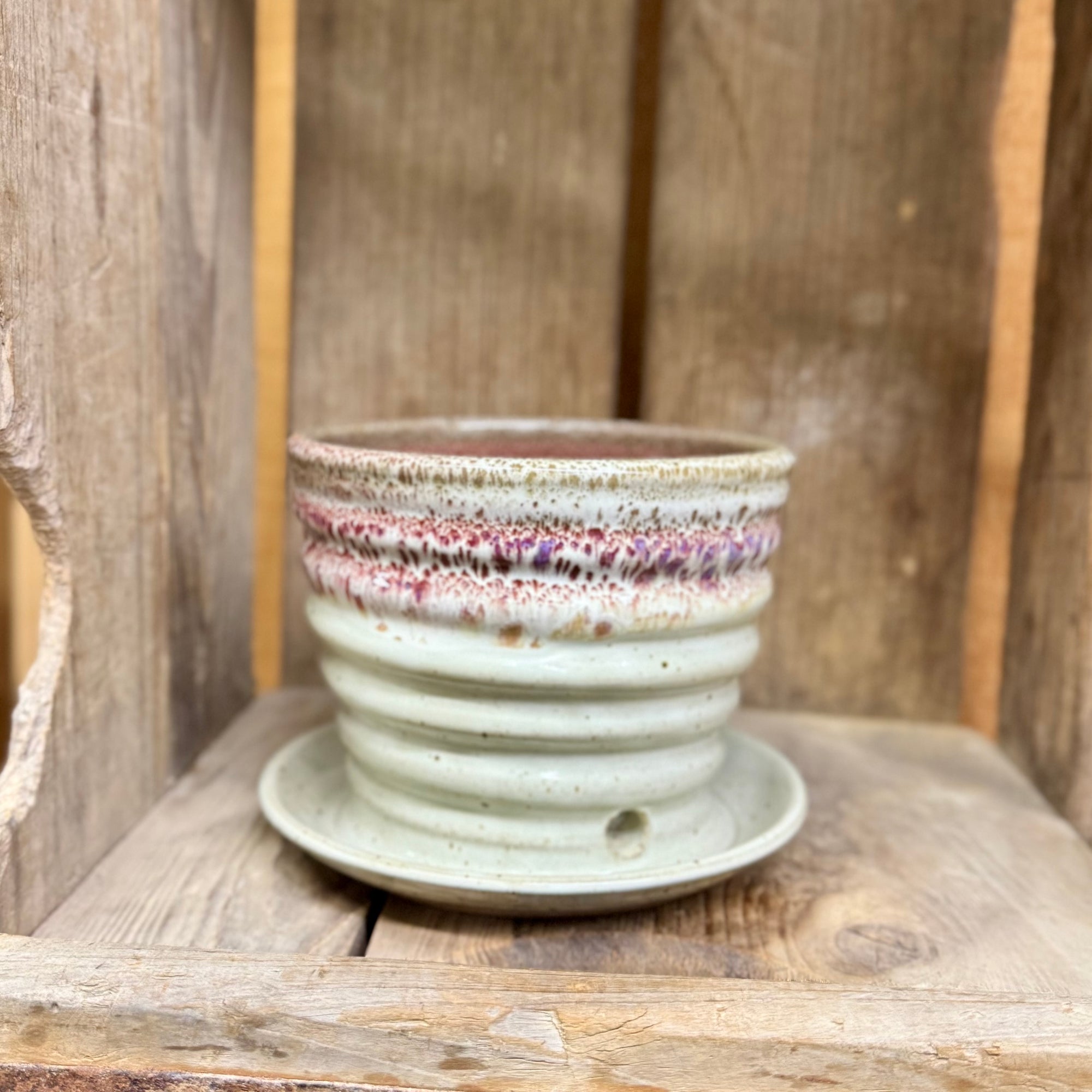 Small Planter {White Chocolate Raspberry}