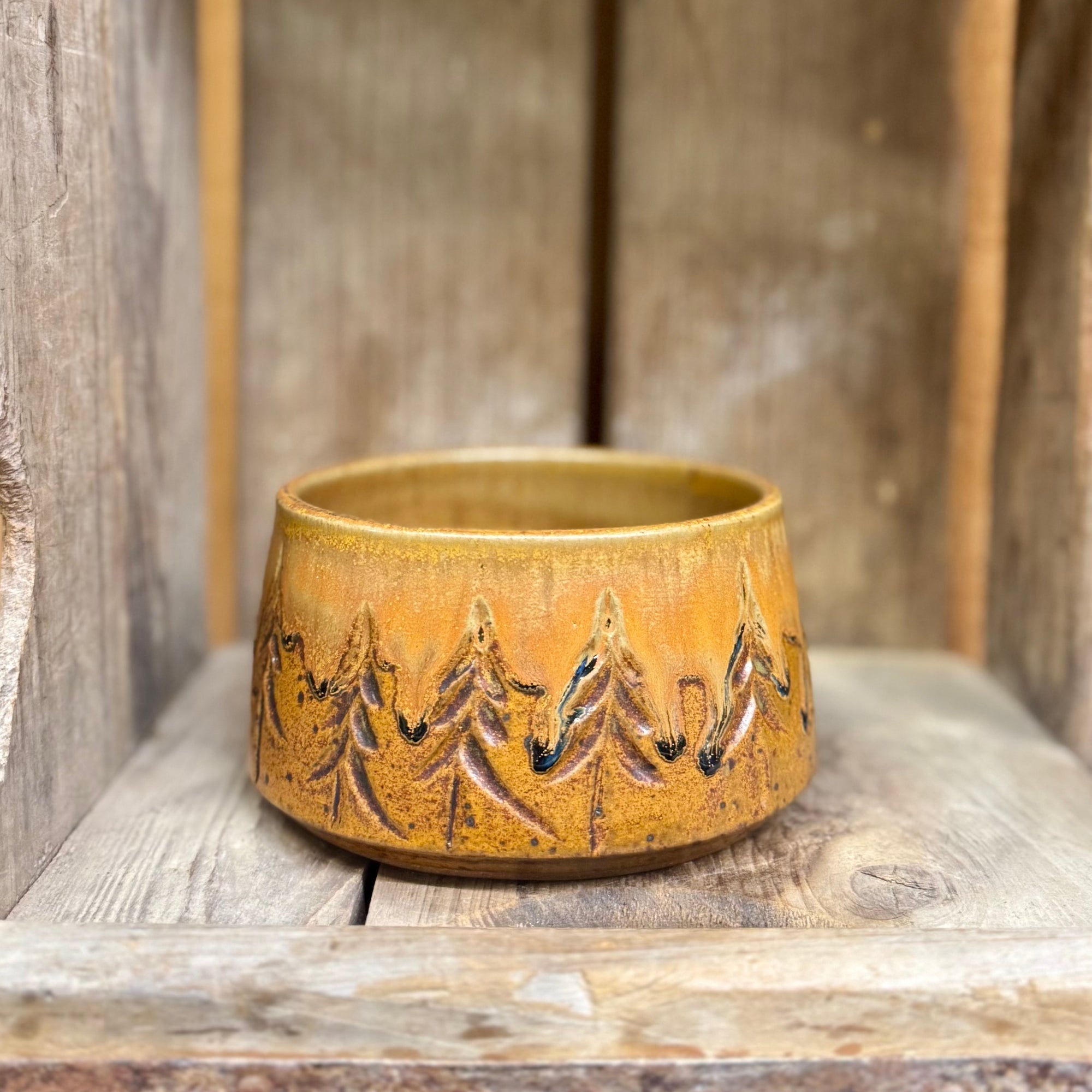 Pet Bowl Medium {Pumpkin}