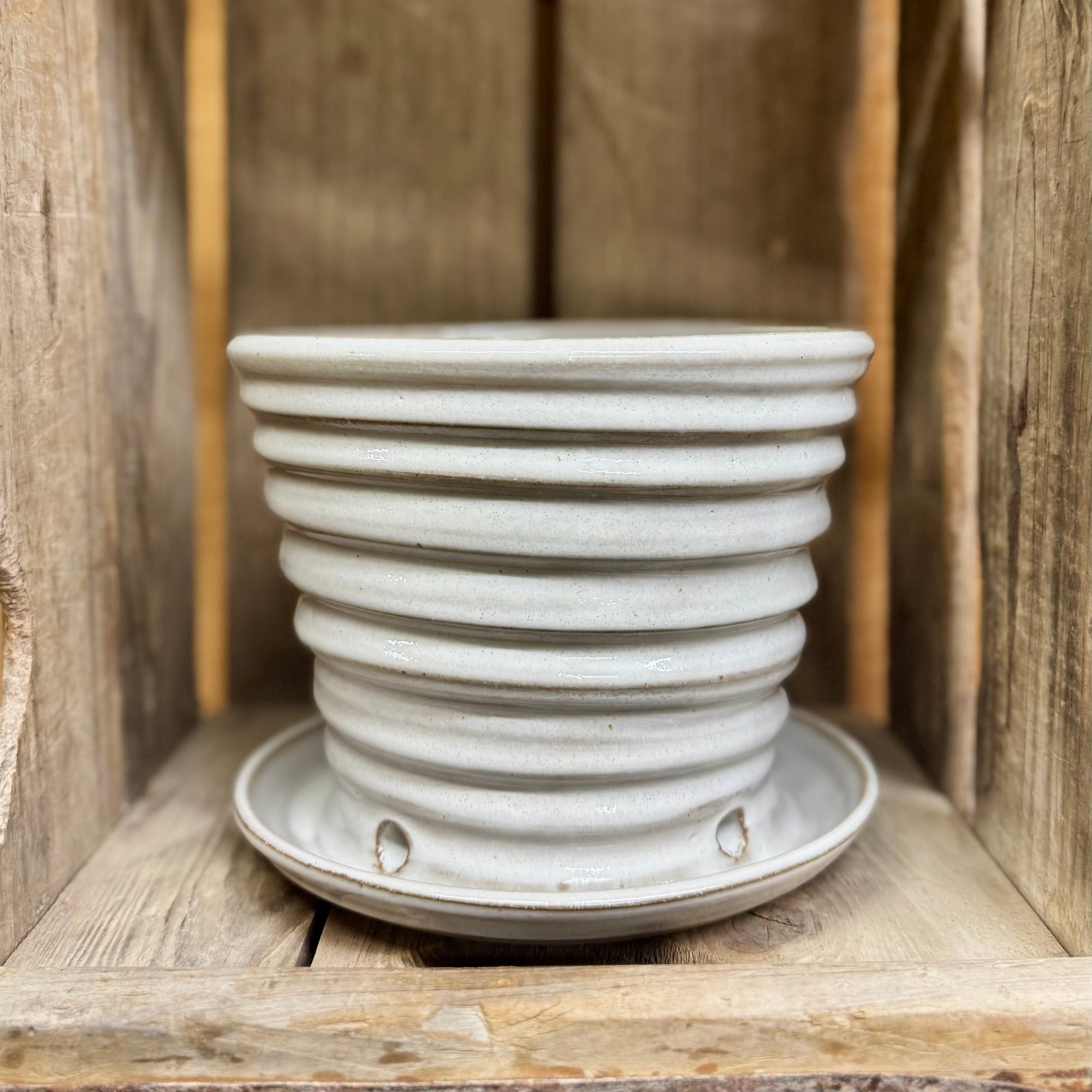 Large Planter {Birch}