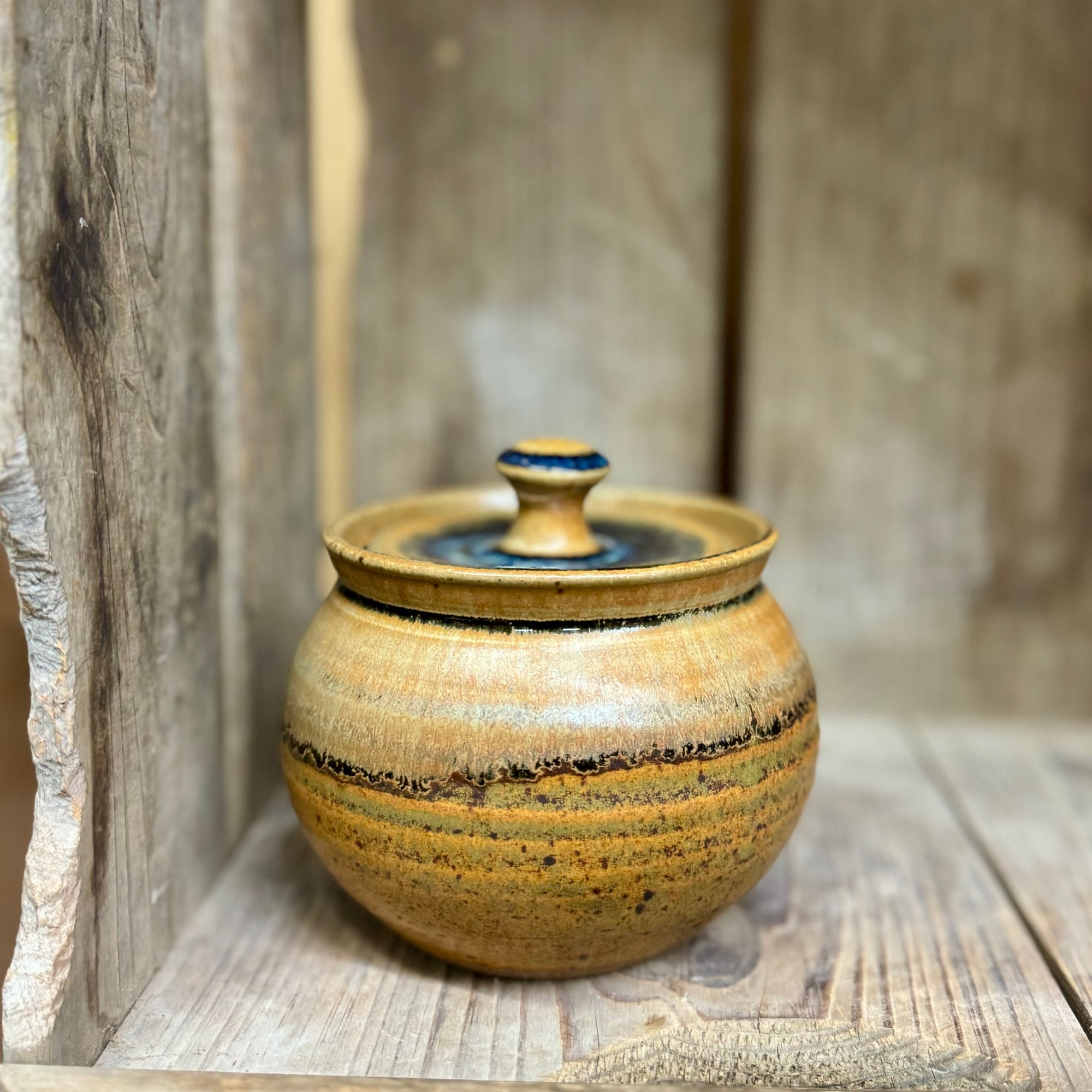 Sugar Bowl {Pumpkin}