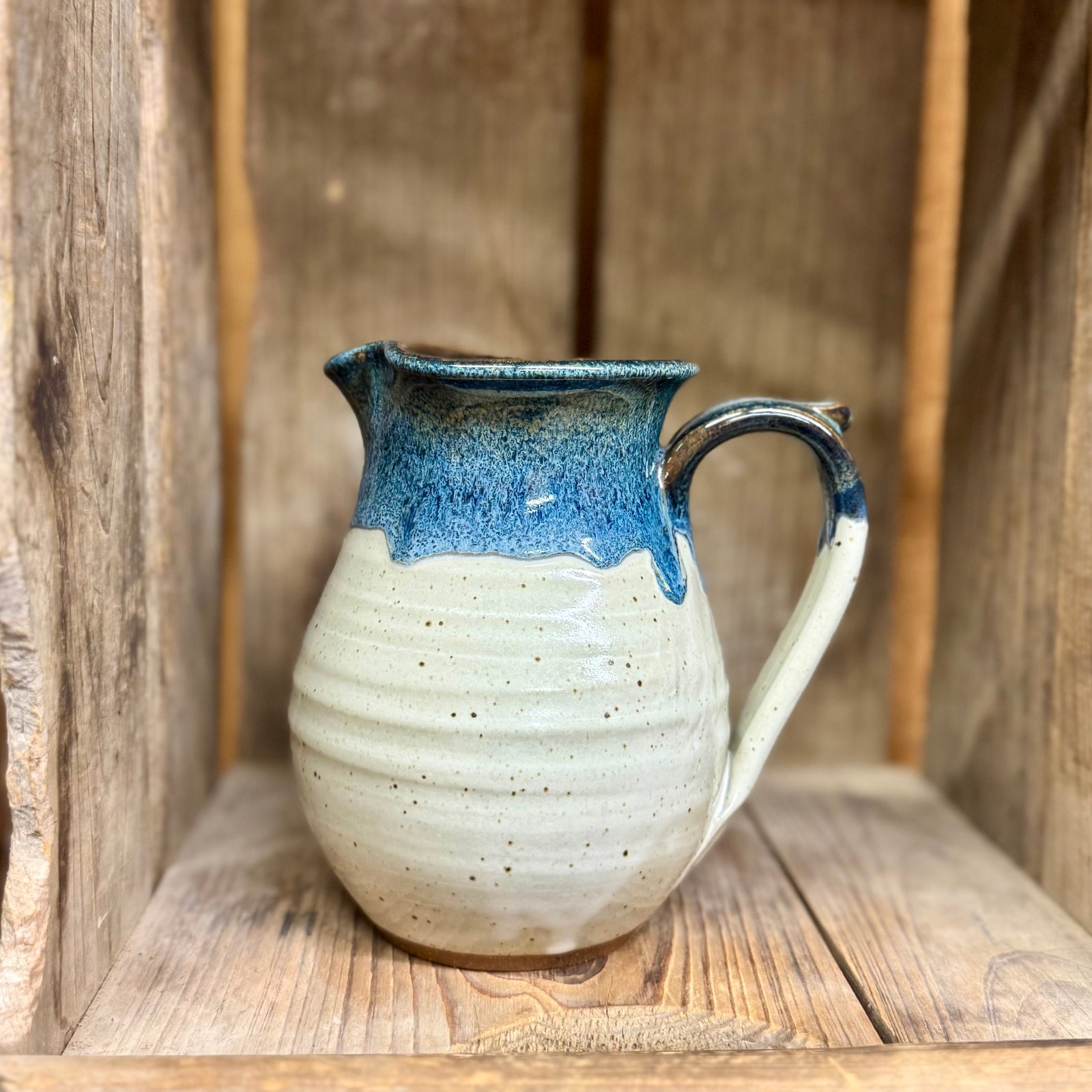 Pitcher {Blue Jay}