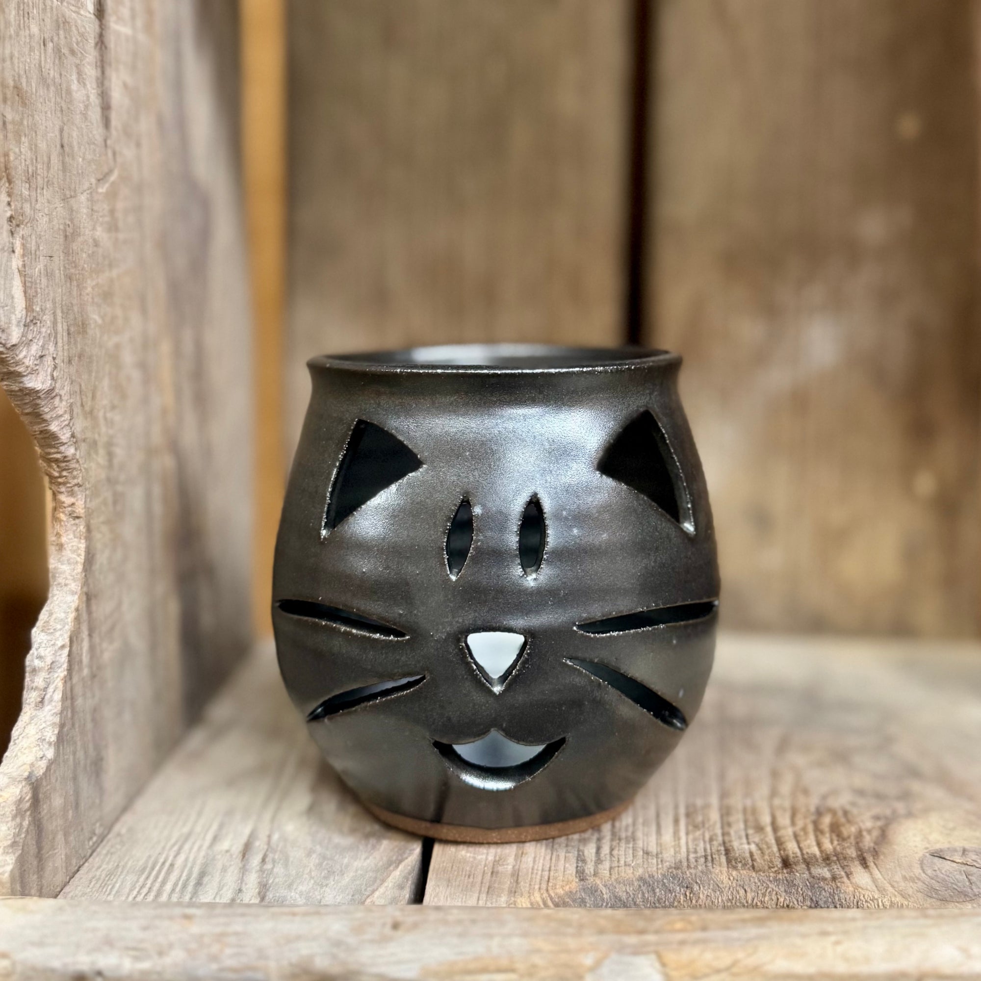 Black Cat Luminary
